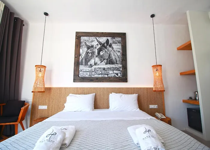 بوتيك هارموني